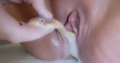 🐍🐍🐍