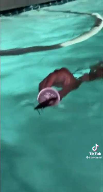 splash