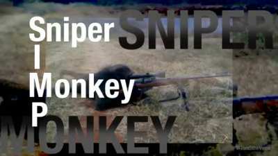 Haha monke funi