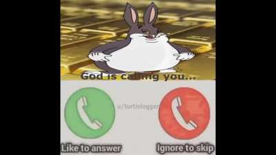 Chungus???!!!!???! Spam risk!!!!