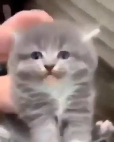 He's not happy.