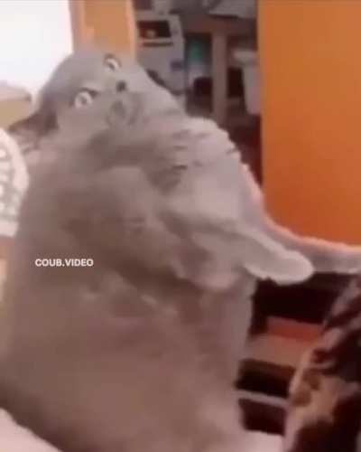В свое удовольствие...