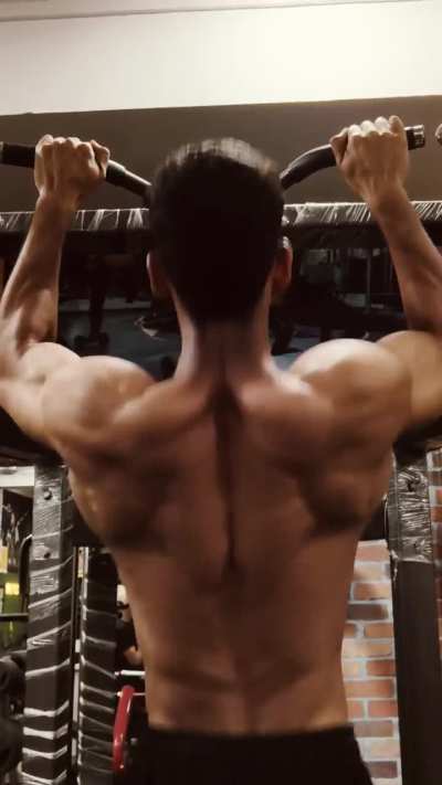 Never Back Down