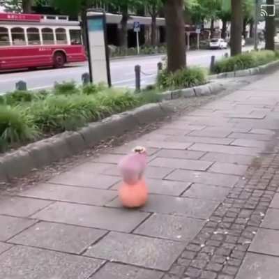 No se que poner, pero no hace falta de poner algo.