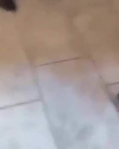Abdu&ccedil;&atilde;o?
