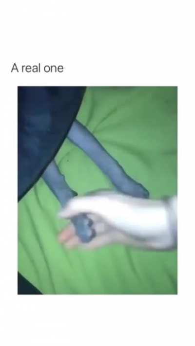 Blursed_fistbump