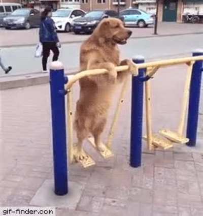 He's a real swinger!