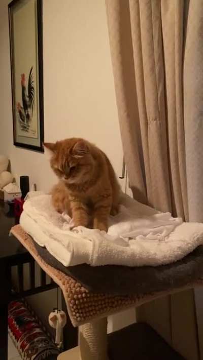 How to... bedtime ritual