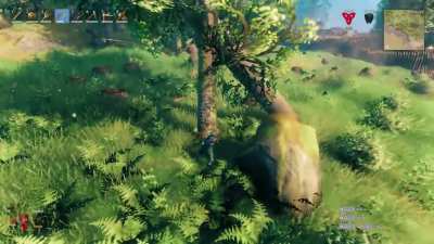 I don't know what's the big fuss about falling trees lately?
