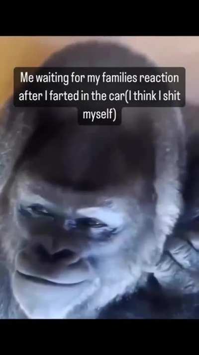 Doo doo
