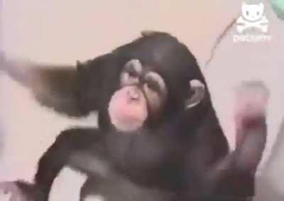 ¿Que hace orslok en mi baño?😳