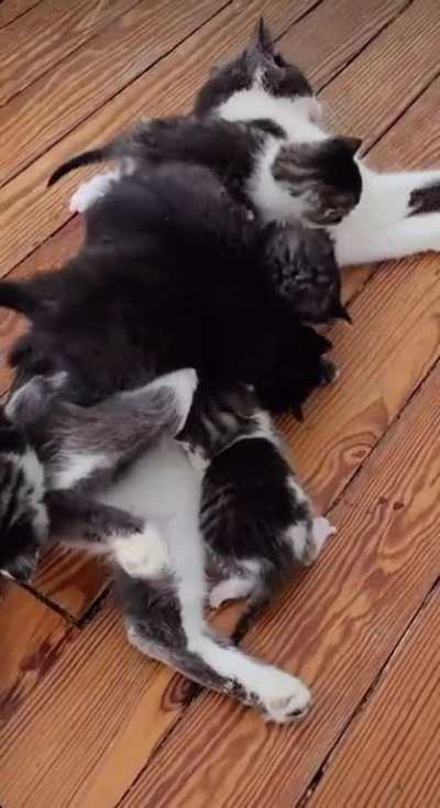 Proud Mum Of 6&hellip; er&hellip; 7!