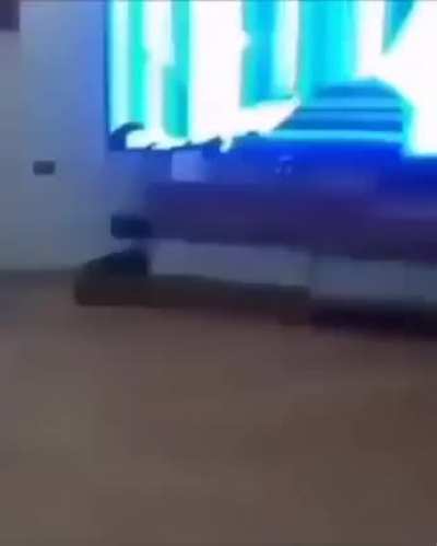 Perdón papiii 😭😭😭