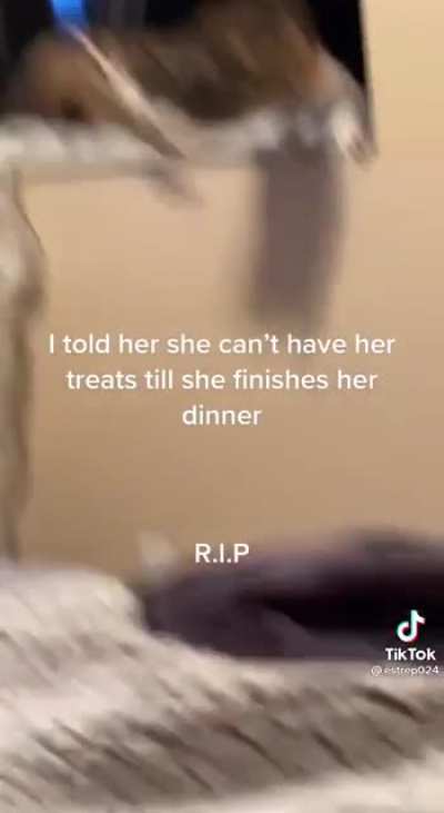Kitty can&rsquo;t live without her treats