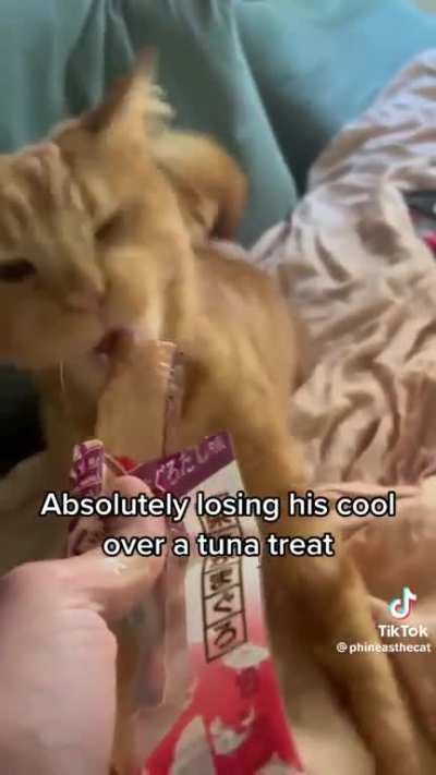 Wobbly cat syndrome