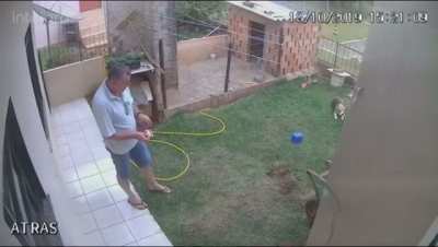 How to blow up your garden while trying to get rid of cockroaches
