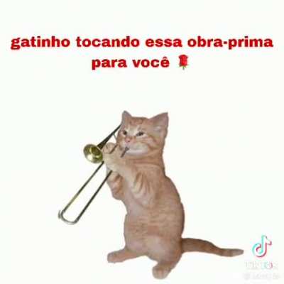 Bom dia 