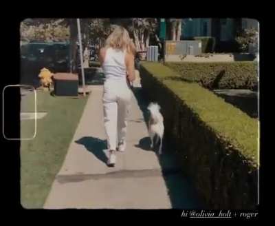 Walking Roger