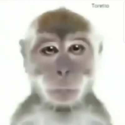._.xD