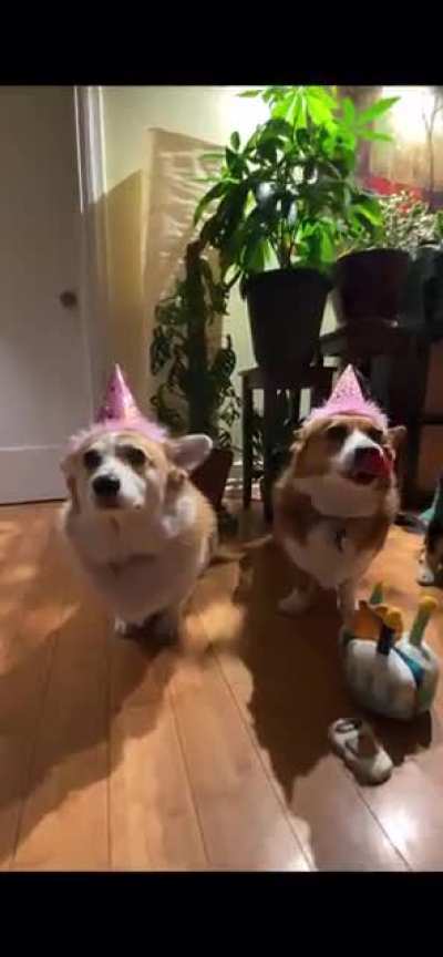 Give them something good to celebrate. Happy Birthday!