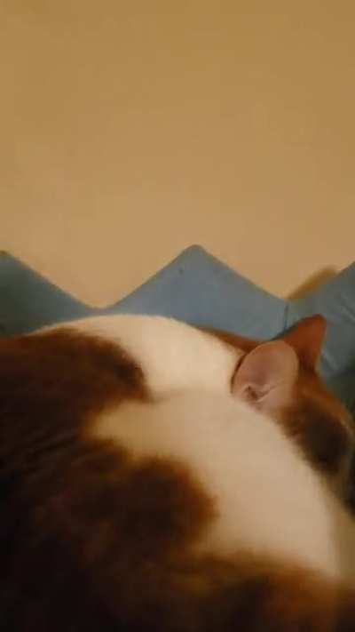 Wakey wakey
