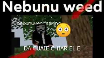 Nebu