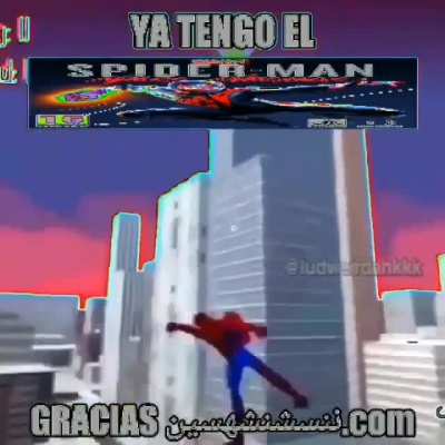 spoder