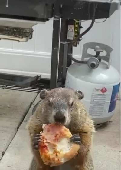 Look, I'm eating a pizza