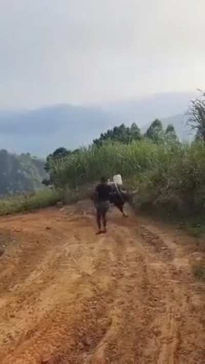 Maybe Maybe Maybe