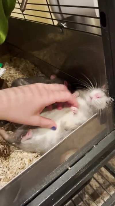 Milk went from being sour &amp;amp; rotten to sweeter than condensed milk after he was neutered