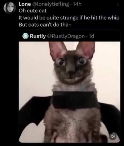 wunk