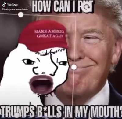 Left wing destroyed