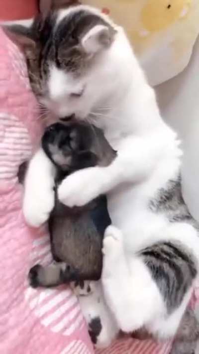 And I&rsquo;ll take care of him