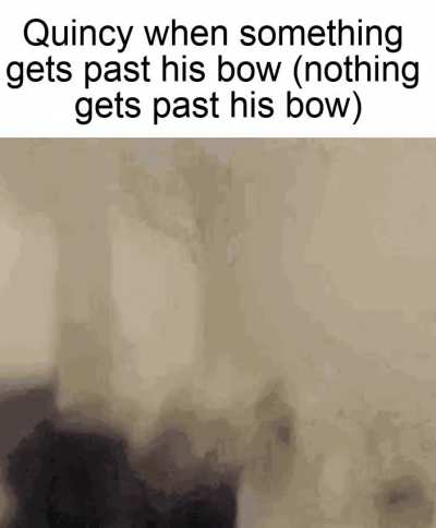 poor quincy