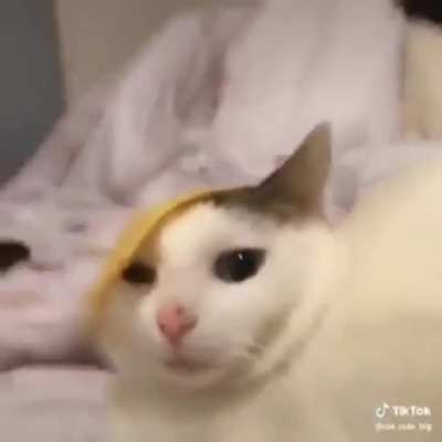 I'm 15 and this is yeet