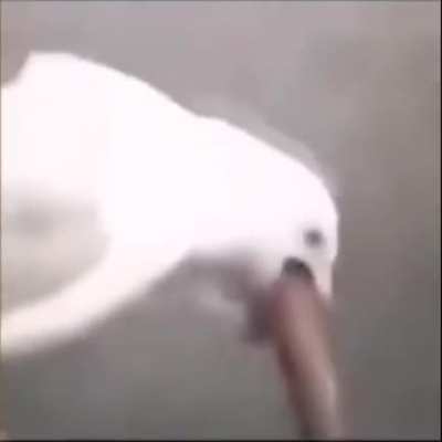 🥵🥵🥵😫😩