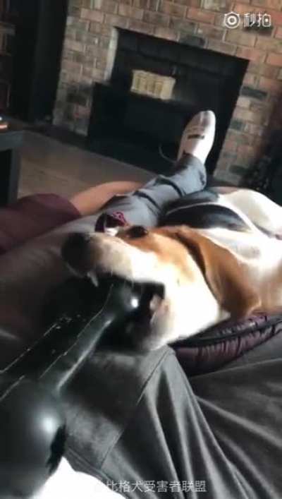 knick-knack, paddy whack, give the dog a bone!