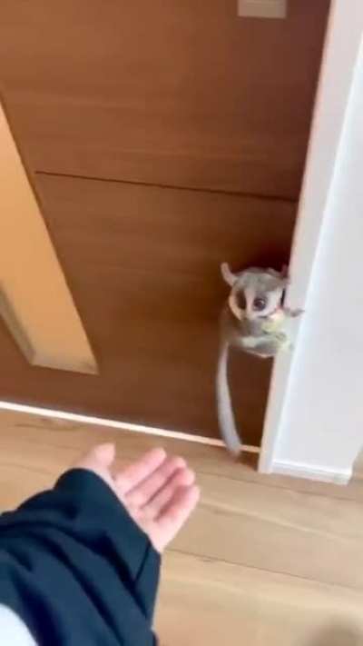 So Cute