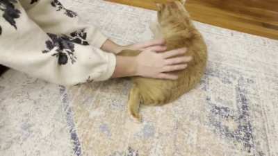 Crash likes to worm as he is bongoed upon