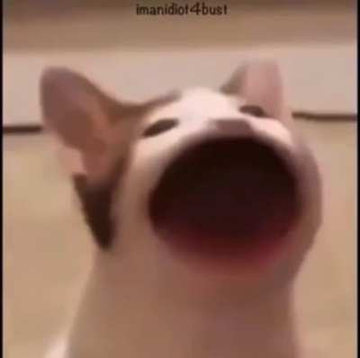 fortnite bad