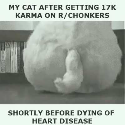 Wholesome 100 epic oh lawd he dying chonk