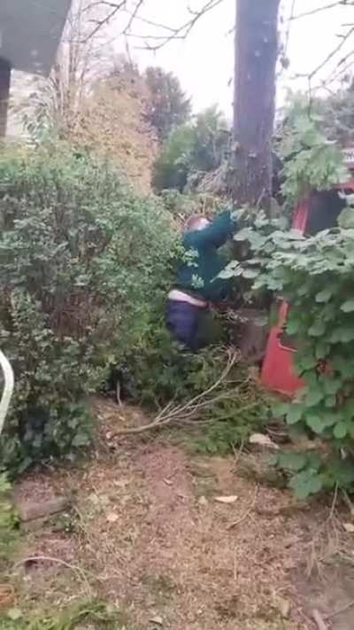 Watch your legs!