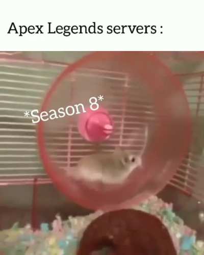 R.I.P hamster