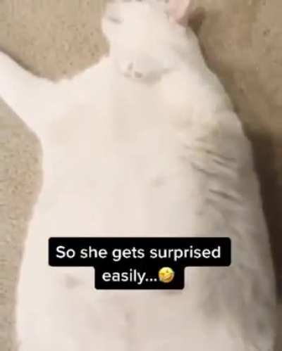 Meow