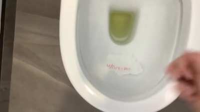 Flushing u/ninetpot down the toilet