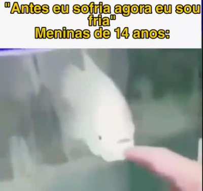 Meme.