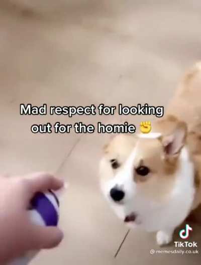 I love this video so much and I can&rsquo;t stop think about it.