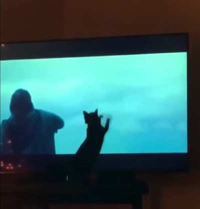 to catch the saber