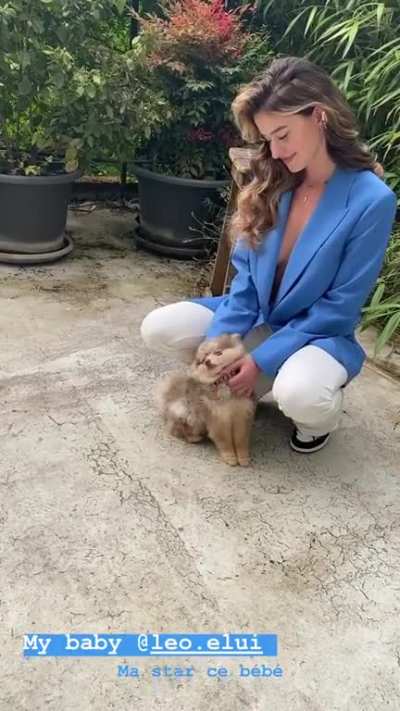 Puppies