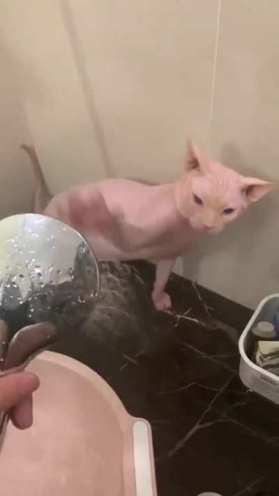 ok